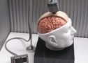 Brain controlled gadgets help you handle your gadgets with ease