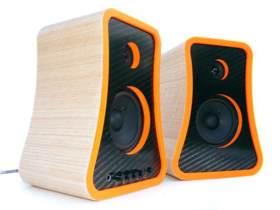 Carbon fibre and wood speakers