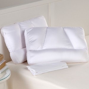 tony-little-micropedic-2-sleep-pillows-and-2-pillowcase-d-2006032415035198~677952