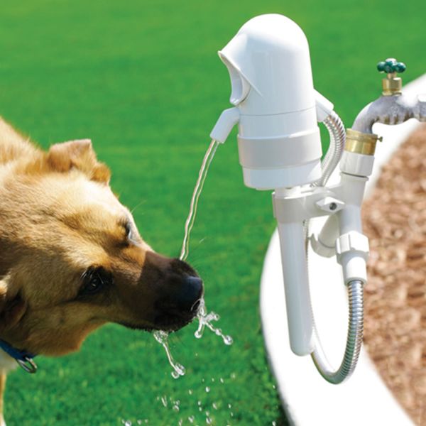 Outdoor fountain for pets