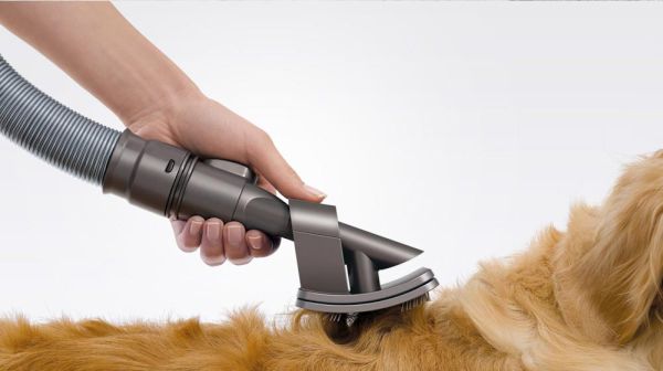 Dyson Groom